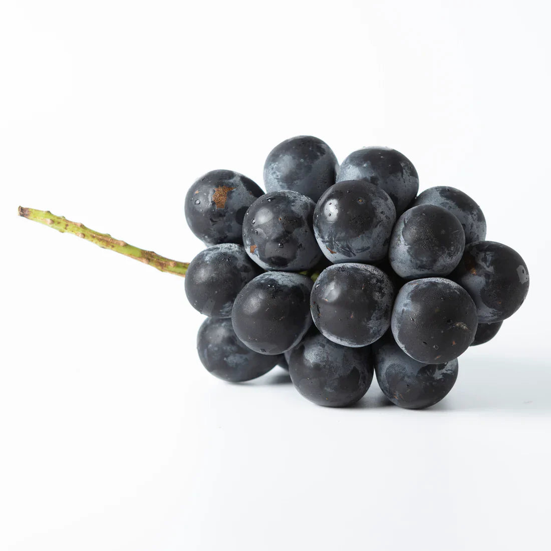Japanese Kyoho Grape Cuttings – Unrooted Vitis vinifera × Vitis labrusca, Large Juicy Fruit, Grow Your Own Table Grapes