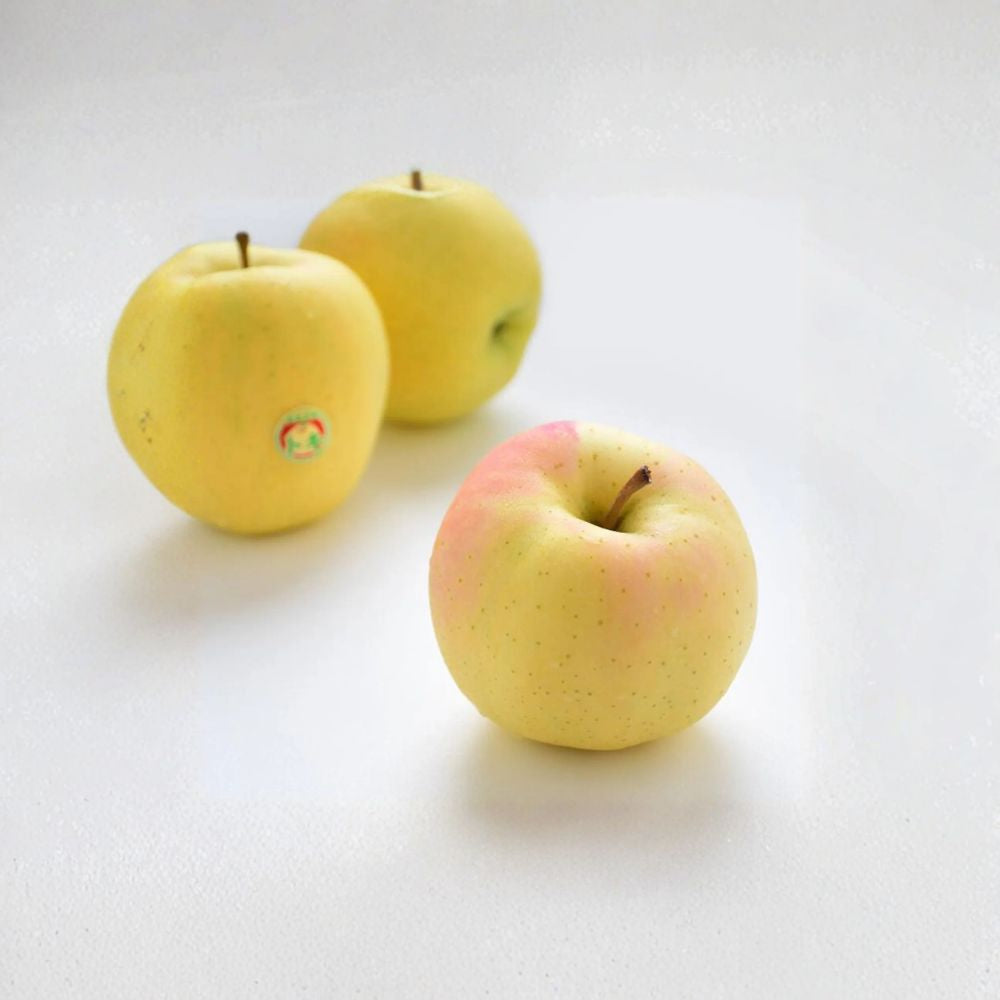 Japanese Aomori Toki Apple Tree – Malus domestica Bare Root, 32 Inches Tall, Sweet Peachy Apple