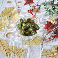 Chang Bai Hardy Kiwi Female Vine | Large Sweet Edible Kiwi | Zones 4-9