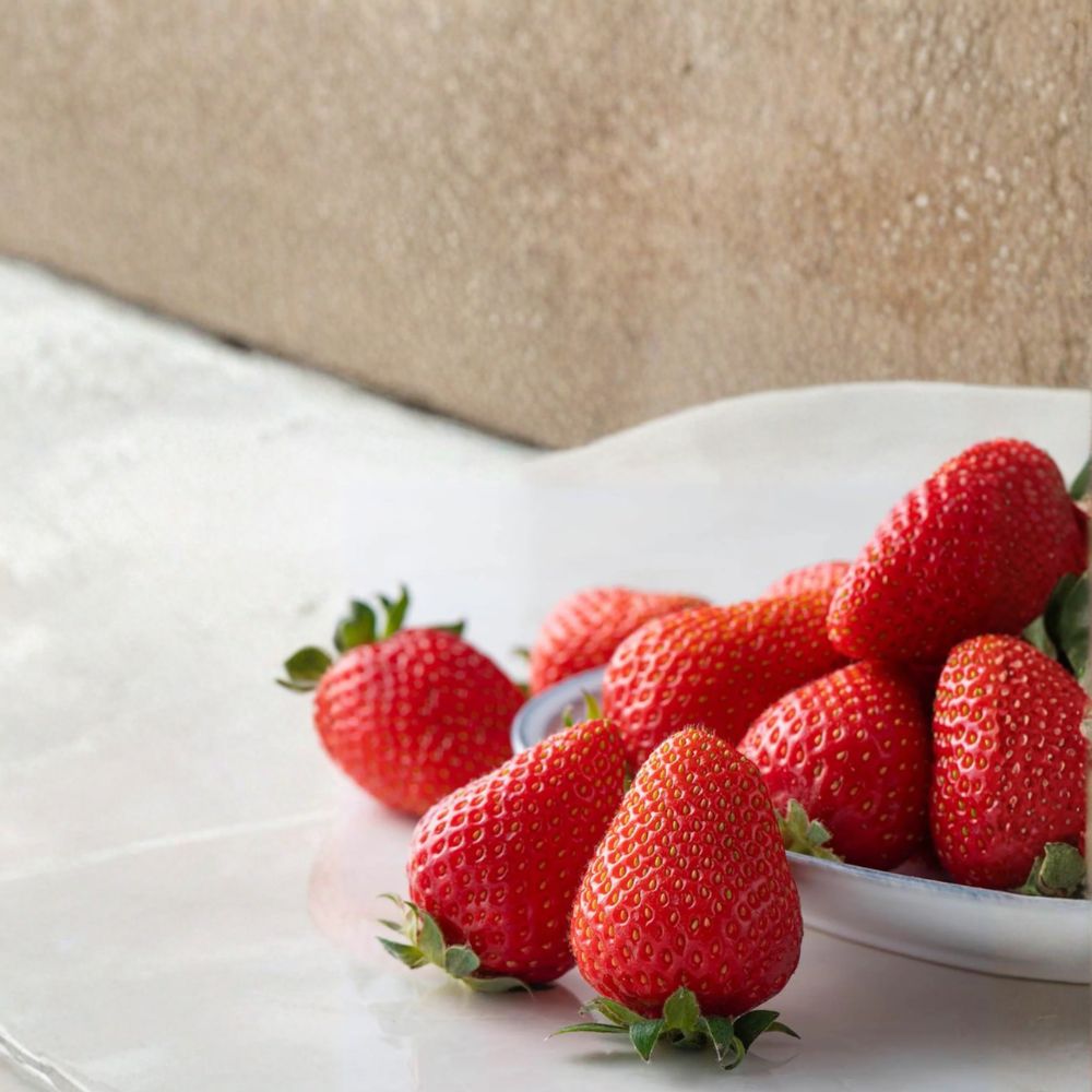 5 Kaorino Japanese Strawberry Plants – Fragaria × ananassa Bare Root | Premium Sweet Aromatic Variety