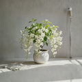 Weeping Jasmine Seeds – 100+ Climbing Vine Seeds for Garden & Balcony