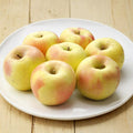 Japanese Gunma Honey Apple Tree – Malus domestica Bare Root | 32 Inches Tall | Sweet Honey Apple Variety