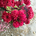 Rhododendron ‘Vivacious’ – Dwarf Evergreen Shrub with Bright Red Blooms | 12–15 Inch Wide Field Grown Plant