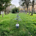 Horstmann Atlas Cedar - 18 Inch Tall Evergreen Conifer in 1 Gallon Pot | Cedrus atlantica Compact Landscape Tree