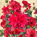 Azalea ‘Hino Sunrise’ Semi Evergreen Shrub | Bright Orange Spring Blooms | Hardy Container Plant