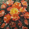 Climbing Piñata Rose Live Plant - 1 Gallon | Yellow & Vermilion Climbing Rose with Repeat Blooms