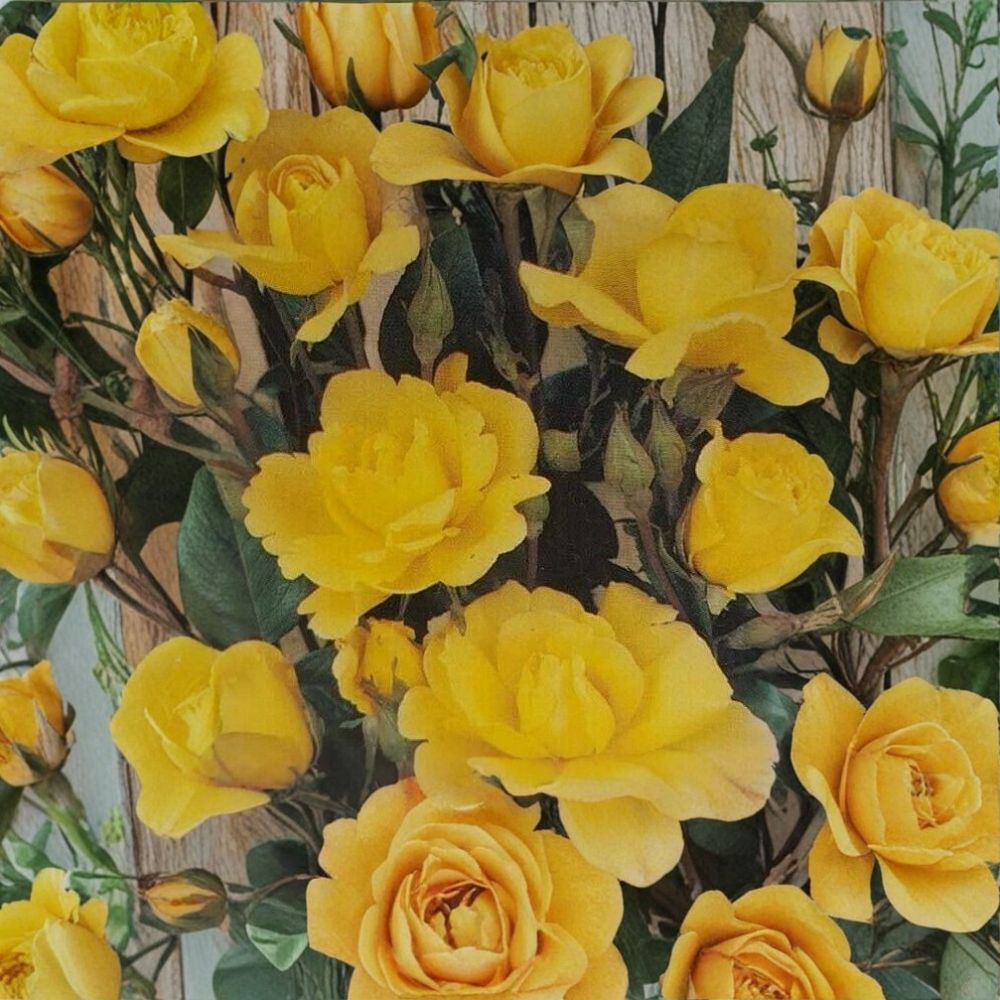 Climbing Golden Shower Rose – Daffodil Yellow Live Bush Plant | 1 Gallon Size