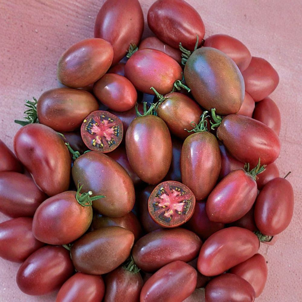 Ukrainian Purple Tomato Seeds | 50 Organic Heirloom Non-GMO Paste Tomatoes
