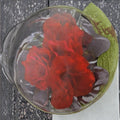 Europeana Floribunda Rose – Dark Crimson Red 2 Gallon Flowering Shrub