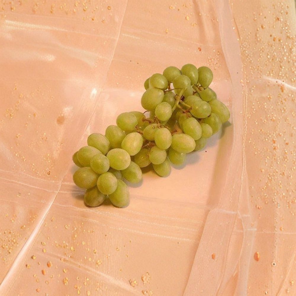 Chardonnay White Wine Grape Vine Live Plant | 3 Gallon Rooted Grapevine