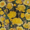 Climbing Golden Showers Rose – 2 Gallon Live Plant | Rooted Climbing Rose for Trellis & Garden