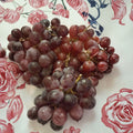 Vanessa Red Seedless Grape Vine - 1 Gallon Live Plant | Self-Fertile Seedless Grapes
