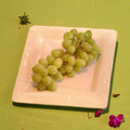 Chardonnay White Wine Grape Vine Live Plant | 3 Gallon Rooted Grapevine