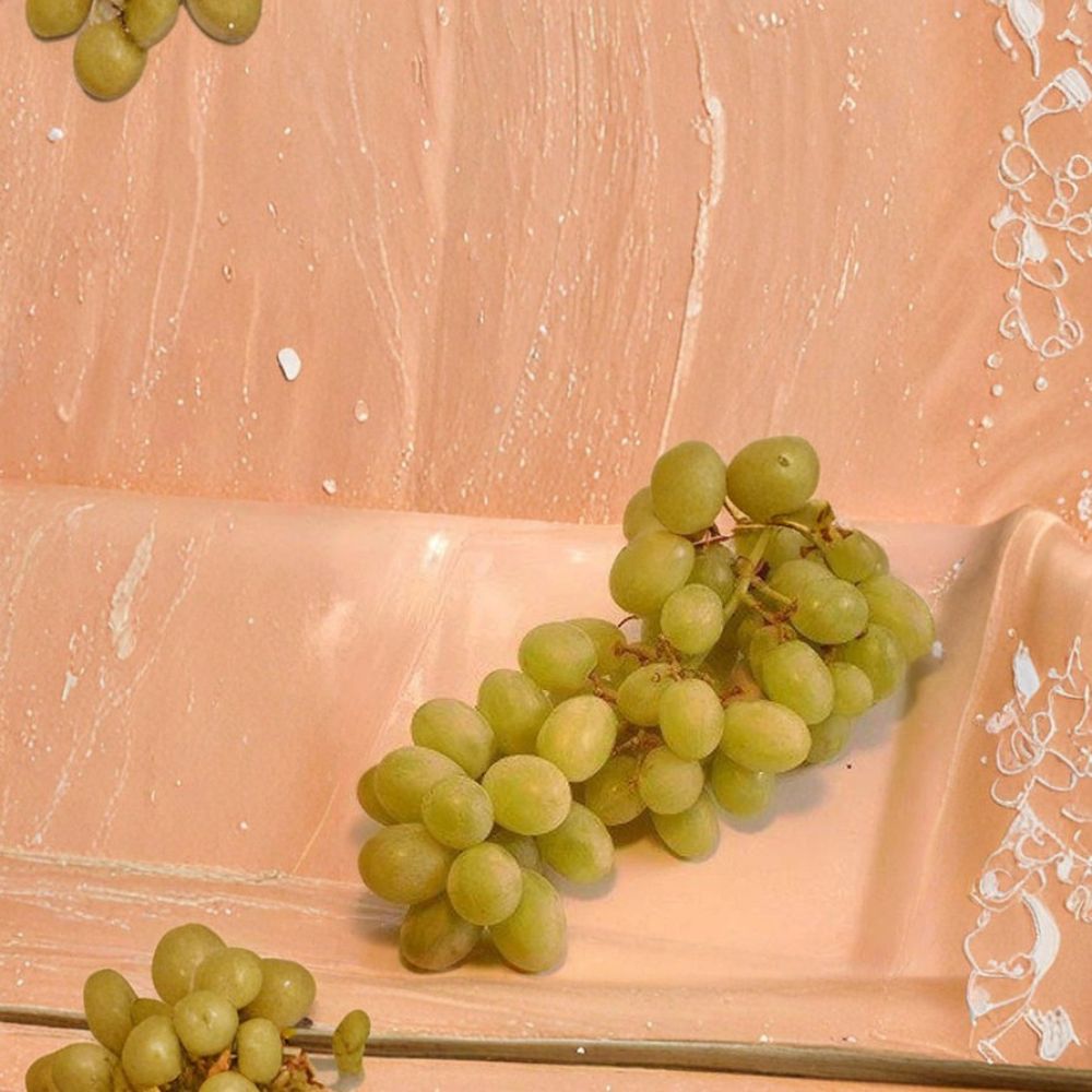 Chardonnay White Wine Grape Vine - Vitis vinifera Live Plant | 3 Gallon Self-Fertile Vine