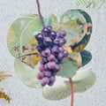 Champanel Grape Vine Live Plant | 2 Gallon | Sweet Red & Black Grapes | Vitis spp.