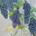 MARS Seedless Grape Vine Live Plant | 3 Gallon Rooted Grapevine for Planting
