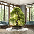 Dina Willow Bonsai Cutting Live Tree Starter Salix spp. Indoor Outdoor DIY Bare Root Plant