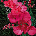 Geranium Ringo 2000 Violet Pelargonium Seeds - 1,000 Violet Blooms, Compact Pot-Friendly