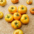 Azoychka Tomato Seeds – Organic Non-GMO Heirloom Yellow Beefsteak | 50 Seeds