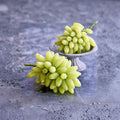 Gold Finger Grape Vine – Vitis vinifera Live Plant | Sweet Japanese Golden Table Grape