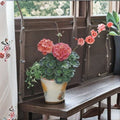 Geranium Maverick Coral Pelargonium Seeds - 1,000 Bright Coral Orange Blooms