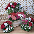 Multibloom Mix Geranium Seeds – 100 Pelargonium Seeds | Assorted Color Continuous Bloom Geraniums