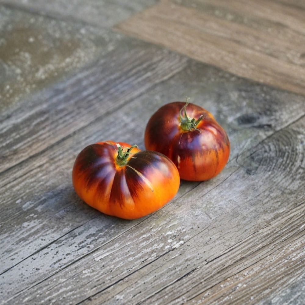 Lucid Gem Tomato Seeds – Organic Heirloom Solanum lycopersicum | 15 Non-GMO Seeds by Brad Gates