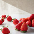 Kaorino Strawberry Plants – 5 Pack Bare Root Fragaria × ananassa | Premium Japanese Sweet Strawberries