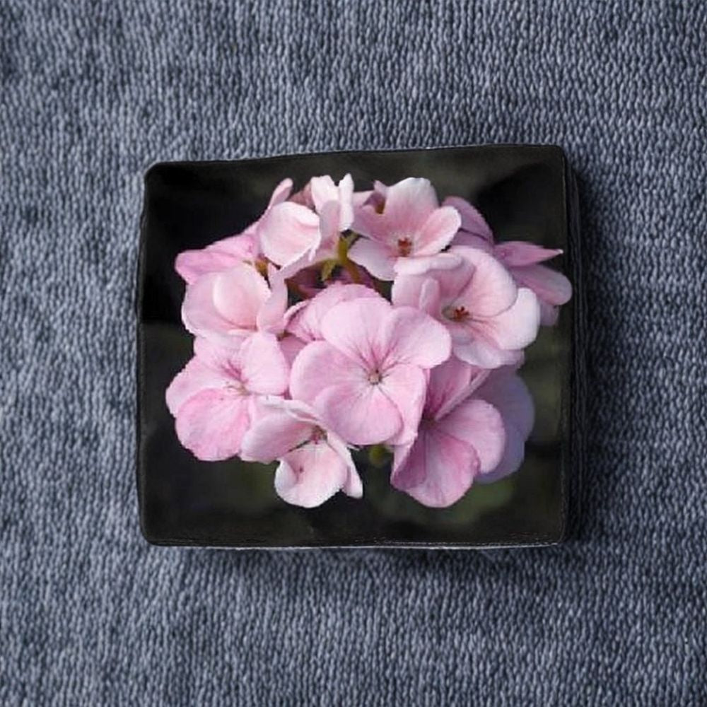 Maverick Appleblossom Geranium Seeds – 10 Pelargonium Flower Seeds for Pots & Gardens