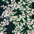 Geranium Tornado White Pelargonium Seeds | 100 Seeds | Cascading White Blooms | Sweetly Scented | Basket & Container Friendly