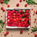 Eclair Strawberry Roots – 5 Live Strawberry Plants | Sweet Juicy Berries | Self-Pollinating | Zones 5-10