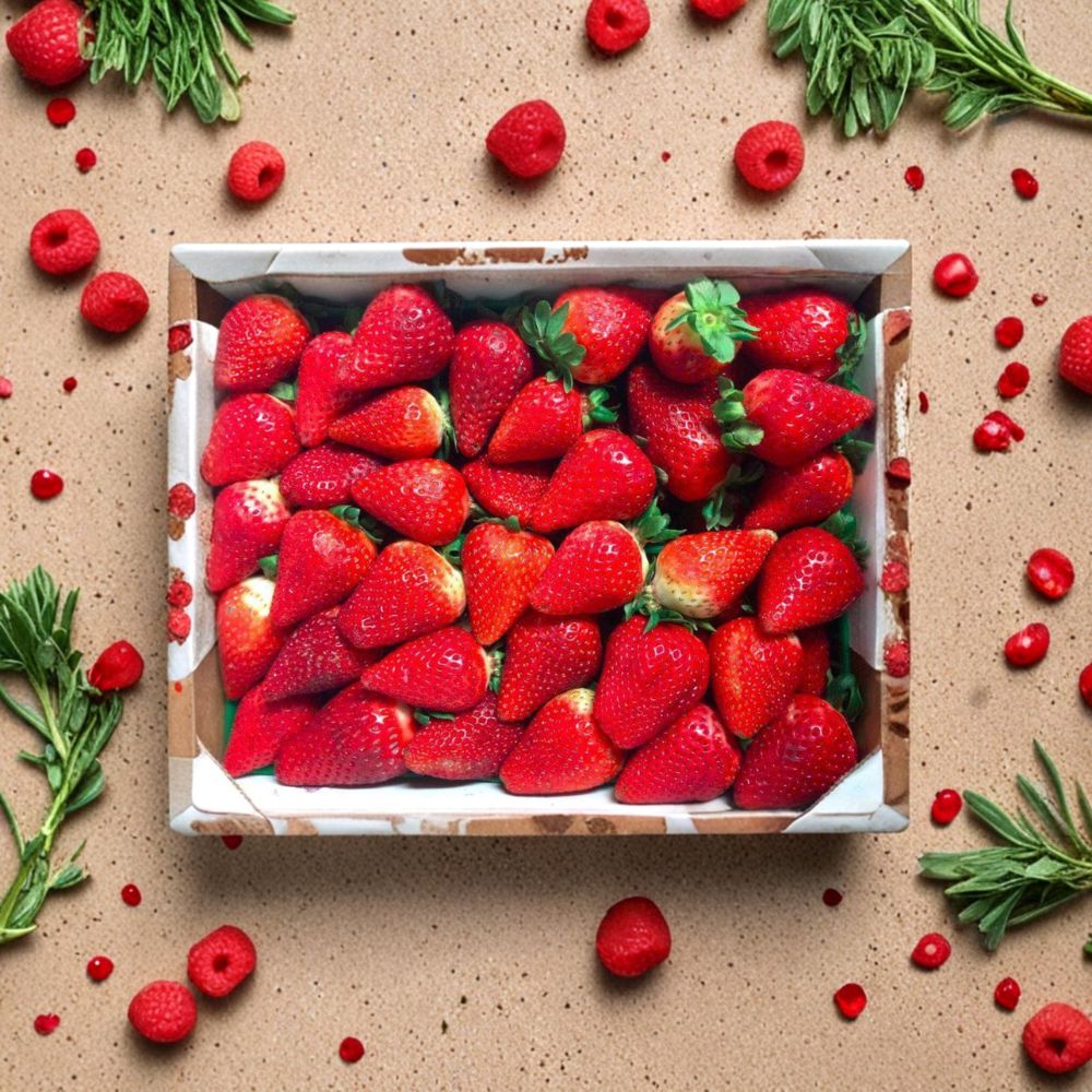 Eclair Strawberry Roots – 5 Live Strawberry Plants | Sweet Juicy Berries | Self-Pollinating | Zones 5-10