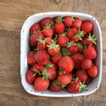 Seascape Strawberry Plants – 5 Live Everbearing Day-Neutral Roots | Organic Pesticide-Free | Zones 4-8