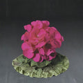 Ringo Violet Geranium Seeds - 15 Premium Early Blooming Pelargonium Seeds for Patio & Window Boxes