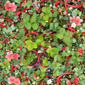 Wild Alaska Strawberry Pups – 5 Live Hardy Bare Root Strawberry Plants for Cold Climates