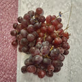 Vanessa Red Seedless Grape Vine - Vitis vinifera Live Plant | 3 Gallon | Sweet Seedless Red Grapes | Self-Fertile