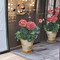 Maverick Coral Geranium Seeds – 100 Pelargonium Seeds with Bright Coral Orange Flowers