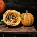 Lady Godiva Pumpkin Seeds – Organic Non-GMO Hulless Kakai Styrian Pumpkin | 40 Heirloom Seeds