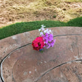 Ivy Geranium Mixed Color Cuttings - 10 Unrooted Pelargonium Cuttings for Hanging Baskets
