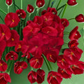 Geranium Pinto Premium Violet Pelargonium Seeds | 1,000 Violet Purple Blooms | Compact & Vigorous Garden Variety