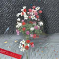 Geranium Tornado Mix Pelargonium Seeds - 100 Mixed Color Cascading Blooms