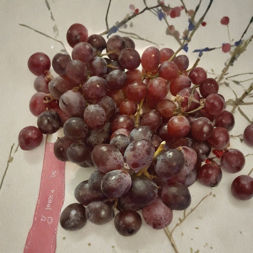 Red Globe Grape Vine – Vitis vinifera Live Plant | 1 Gallon | Self-Fertile Fruit Vine