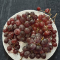 Vanessa Red Seedless Grape Vine – Vitis vinifera Live Plant | 2 Gallon | Self-Fertile | Sweet Red Seedless Grapes