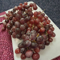 Red Globe Grape Vine – Vitis vinifera Live Plant | 3 Gallon | Self-Fertile Fruit Vine