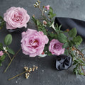 Angel Face Floribunda Rose - Rosa Hybrid Live Plant 3 Gallon Mauve Lavender Fragrant