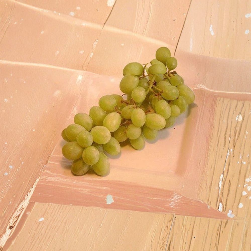 Chardonnay White Wine Grape Vine – Vitis vinifera Live Plant | 3 Gallon Size | Self-Fertile Fruit Vine