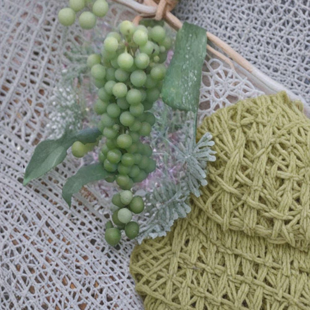 Marquis Seedless White Grape Vine – 3 Gallon Self-Fertile Table Grape Plant