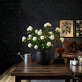 Grand Duke of Tuscany Jasmine – Jasminum sambac Live Plant | Double Flower Arabian Jasmine | 8–15 Inches Tall