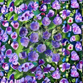 Geranium bohemicum Orchid Blue – 1,000 Perennial Flower Seeds | Hardy Cranesbill with Blue & Purple Veined Blooms