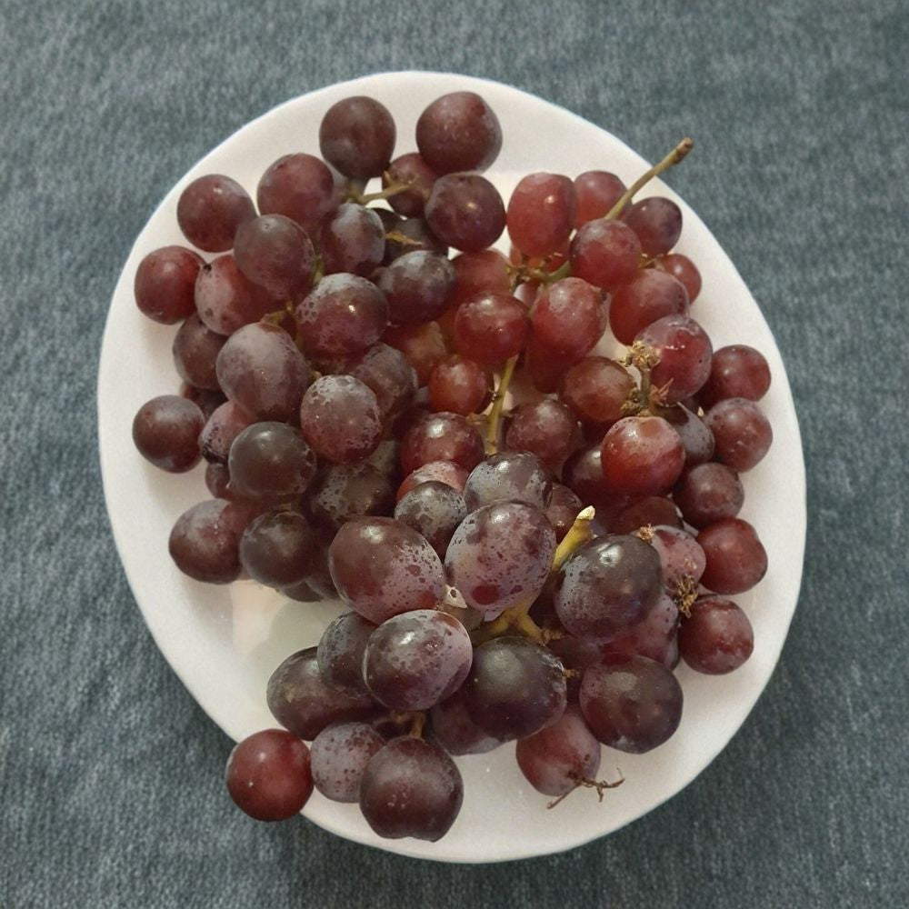Red Globe Grape Vine – Live 1 Gallon Self-Fertile Fruit Plant for Home Gardens